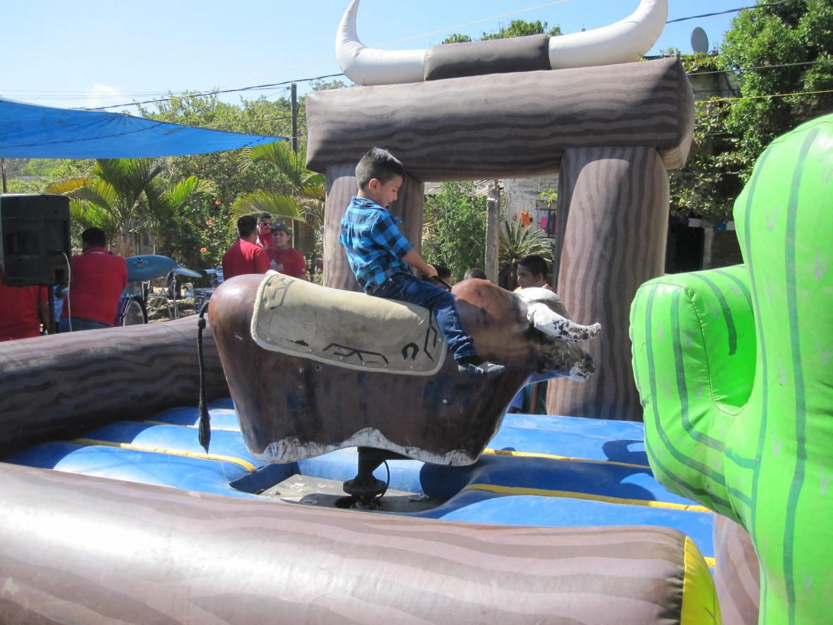 Toro mecanico Nayarit