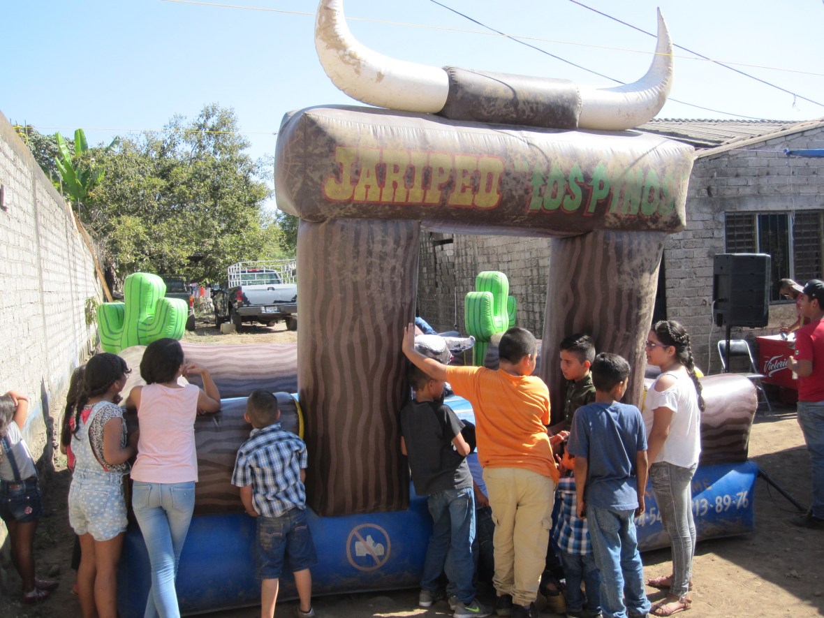Toro mecanico Nayarit
